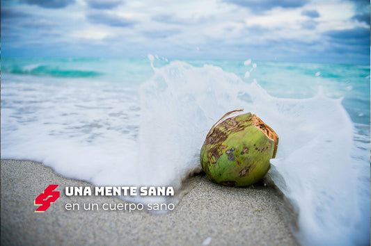 Cómo alimentarte, si quieres surfear bien
